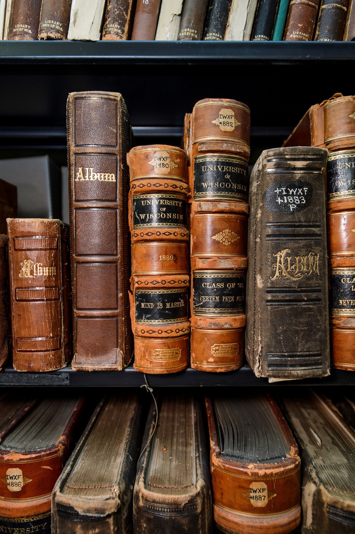 A collection of old, antiquated books line a library bookshelf.