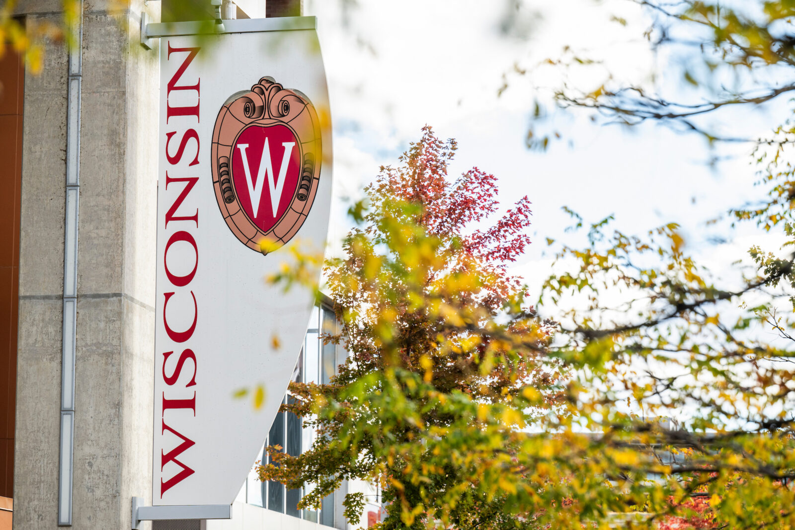 A Wisconsin banner is framed by fall foliage on East Campus Mall on an autumn day at the University of Wisconsin–Madison on Oct. 23, 2025. (Photo by Taylor Wolfram / UW–Madison)